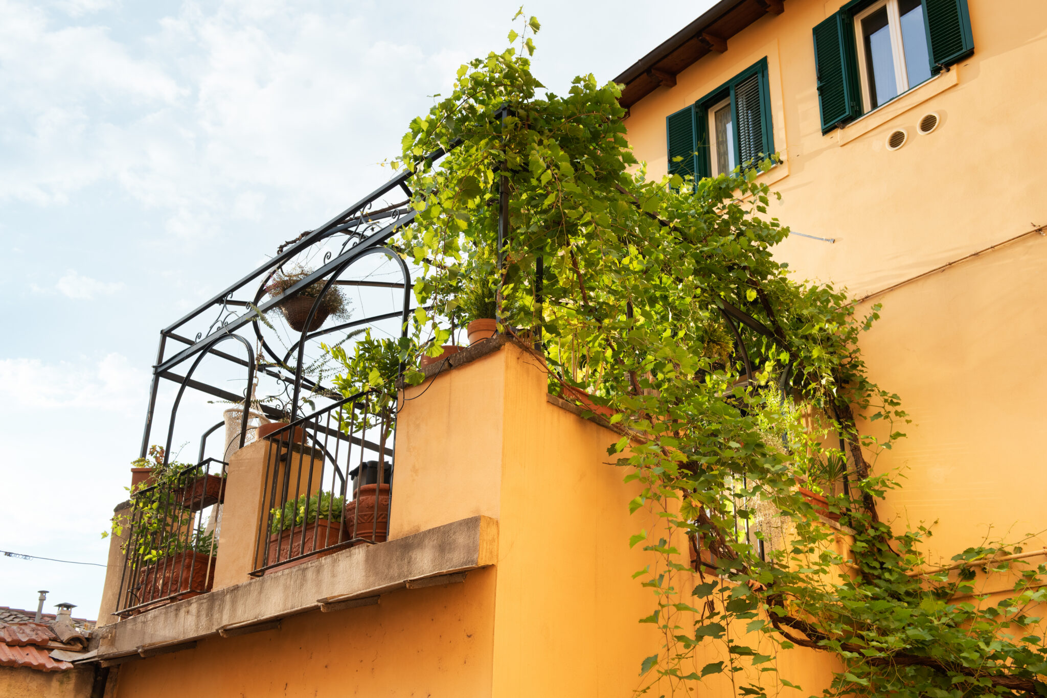Terrazza della Voliera di Bacco nel centro storico di Frascati