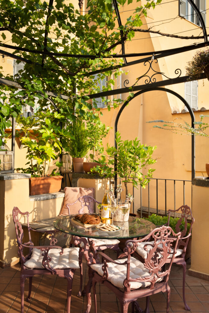 Terrazza privata con vite secolare della Voliera di Bacco a Frascati